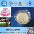 85 % Glucomannan-Konjak-Gummipulver